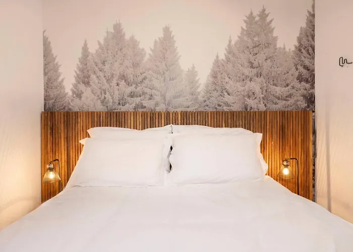 Petit Montana 2ch Vues Garage 5mn Grands Montets *